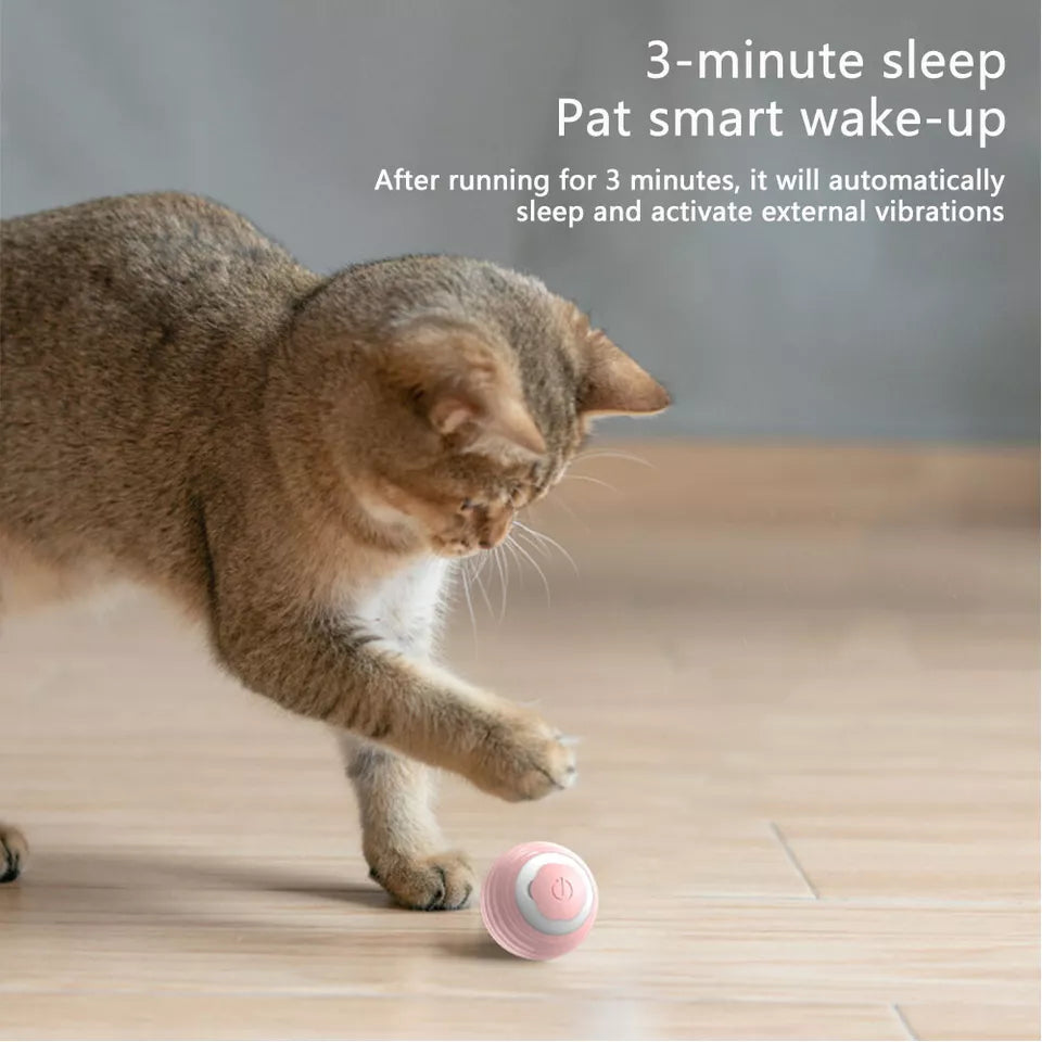 Smart Interactive Pet  Rolling Ball